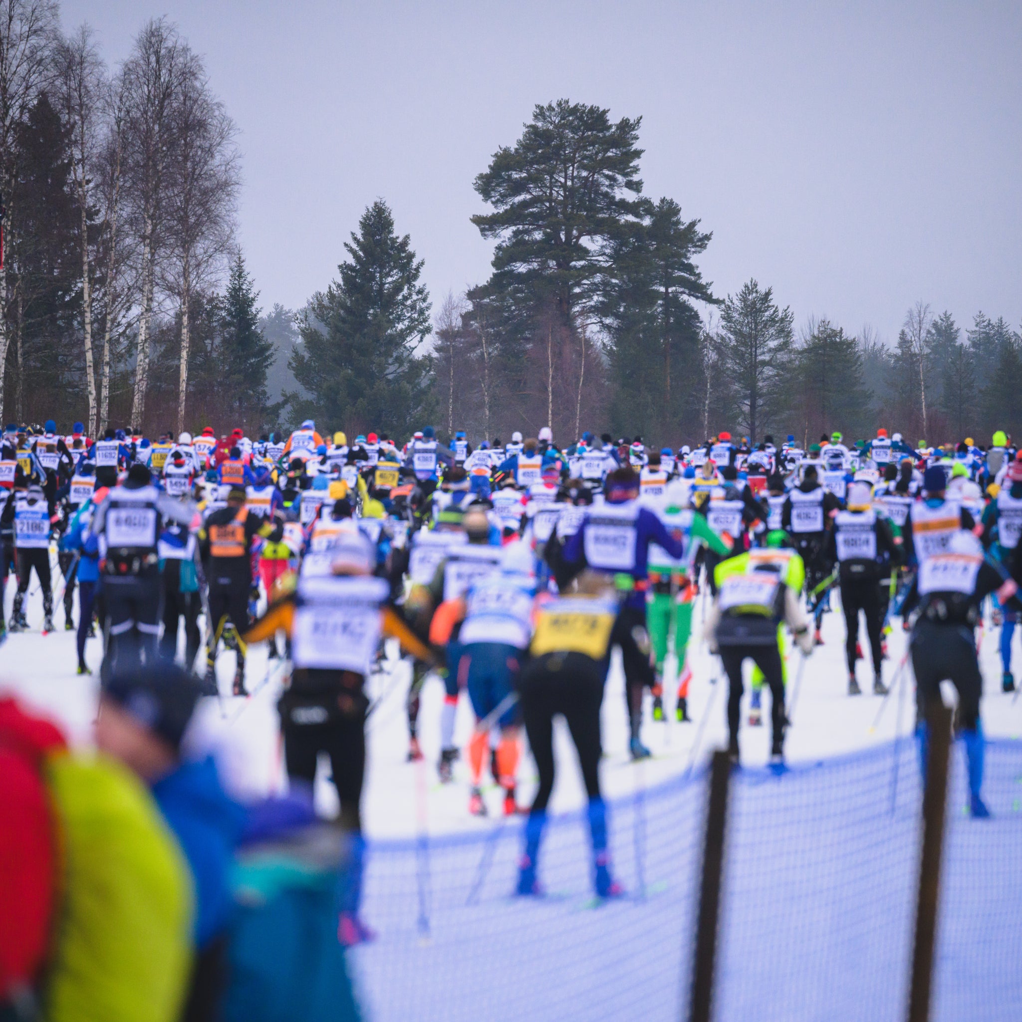 Vallaservice Vasaloppet och Vasaveckan